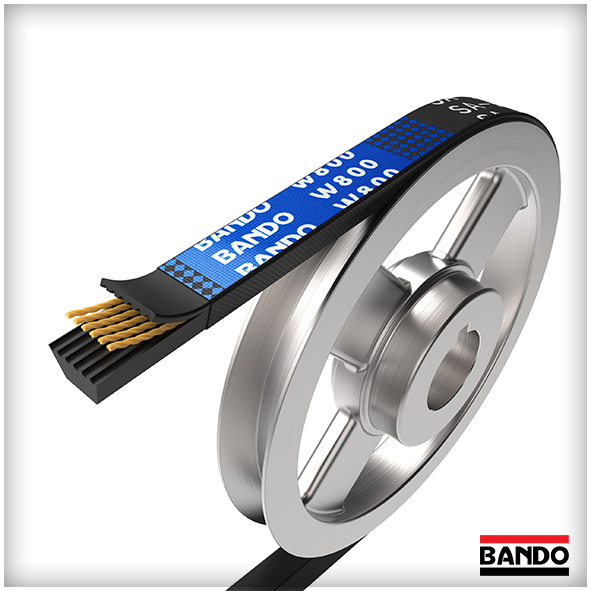 Correas Agrícolas BANDO en V - W800 - ISB IBERICA