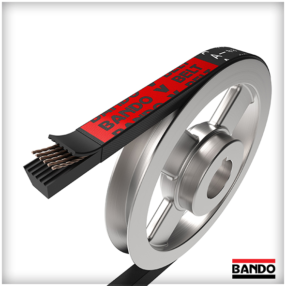 Correas BANDO Trapeciales Clásicas de Neopreno - ISB IBERICA