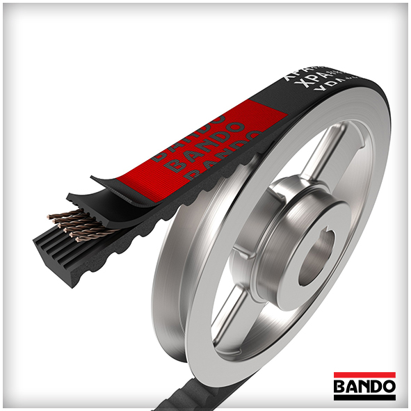 Correas BANDO Trapeciales estrechas y dentadas XP - ISB IBERICA