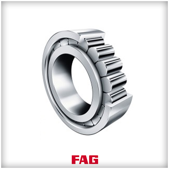 Rodamientos FAG de rodillos cilindricos ISB IBERICA