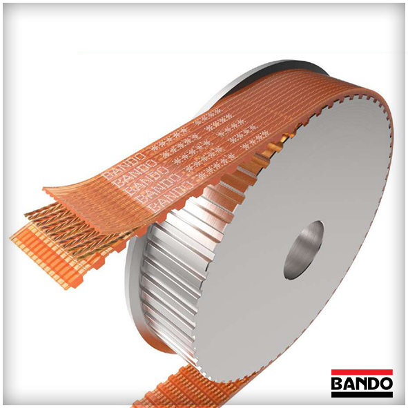 CorreasBANDO Sincronas de Poliuretano (simples dobles) con cables de fibra de vidrio - ISB IBERICA